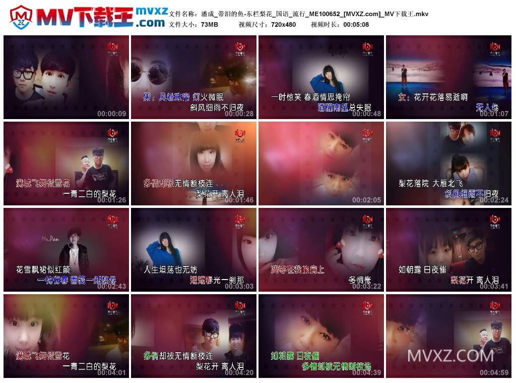 潘成_带泪的鱼-东栏梨花_国语_流行_ME100652